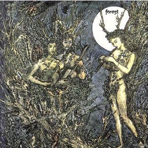 Forest/Forest　