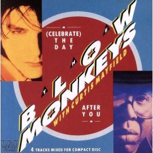 デイ・アフター・ユー〜エレクション・ミックス/ブロウ・モンキーズ