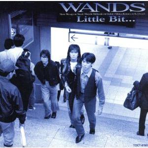 Little Bit.../WANDS