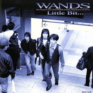 WANDS ワンズ / 1992.06.17 1stアルバム TOCT-6504 : WINDCOLOR MUSIC