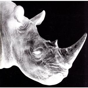 Mr.Children ミスター・チルドレン / 1992-1995 2001.07.11 Mr.Children ミスター・チルドレン / 1992-1995 2001.07.11