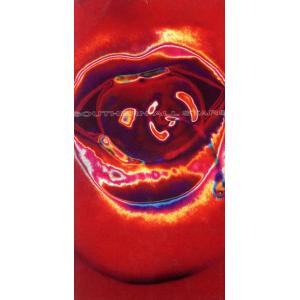 【8cm】愛の言霊/恋のジャック・ナイフ/サザン...の商品画像