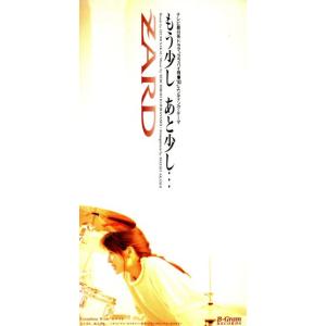 不幸はいかが? / 不幸のプロジェクト , 平沢進 小西健司 CD 邦楽