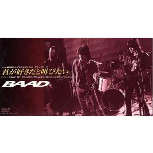 【8cm】君が好きだと叫びたい/TAKE MY DESIRE/BAAD