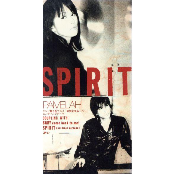 SPIRIT/PAMELAH