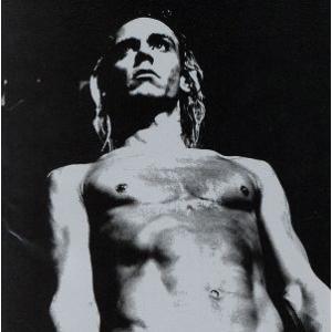 イギー・ポップ・トリビュート〜ウィ・ウィル・フォール/(オムニバス)(イギー・ポップ)