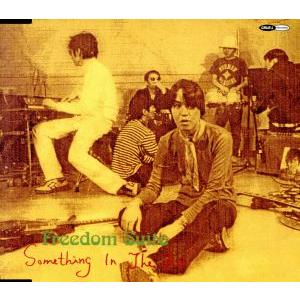 Something in The Air/FREEDOM SUITE　