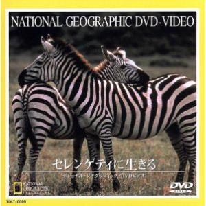 ナショナル・ジオグラフィック セレンゲティの買取情報