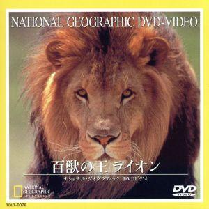 ライオンの買取情報