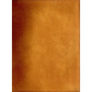 ダンス・ウィズ・ウルブズ スペシャル・エディション/ケヴィン・コスナー(出演、製作、監督),ジム・ウ