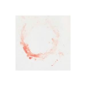 Scene of Loop/ACIDMAN　