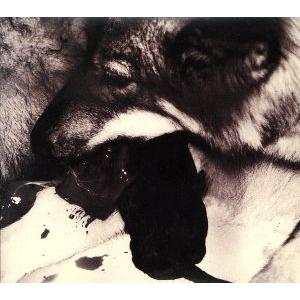 My Song/Syrup16g - 最安値・価格比較 - Yahoo!ショッピング