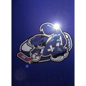 プライド DVD-BOX [DVD] : ポプカル ヤフー店 - 通販 - Yahoo!ショッピング