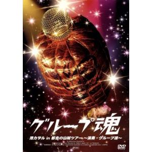 港カヲル in 都会の山賊ツアー 〜演奏・グループ魂〜/グループ魂