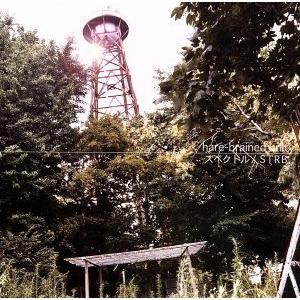 スペクトルSTRBス/hare-brained unity