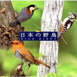 COLEZO!::自然音 日本の野鳥/(BGM)の商品画像