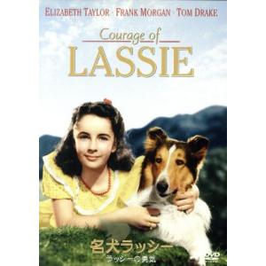 名犬ラッシー/ラッシーの勇気/フレッド・M.ウィ...の商品画像