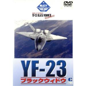 YF-23 ブラックウィドウの買取情報
