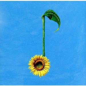 決意の朝に/Aqua Timez