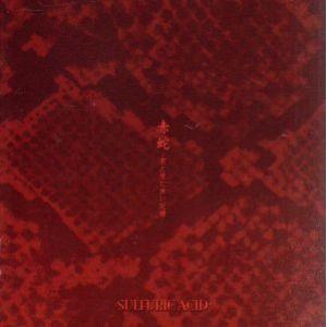 赤蛇 -君と見た赤の記憶-/SULFURIC ACID　
