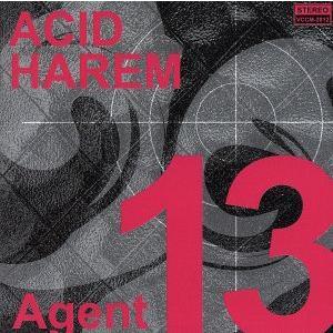 Ａｇｅｎｔ　１３／ＡＣＩＤ　ＨＡＲＥＭ