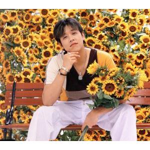 ひまわりのRhapsody/リュ・シウォン