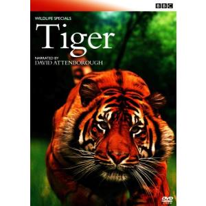 ワイルド・ライフ タイガーの狩猟の買取情報