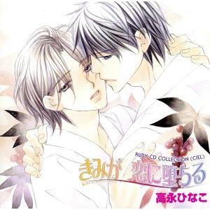 RUBY CD COLLECTION きみが恋に堕ちる/(ドラマCD),千葉進歩(望月春),神谷浩史...