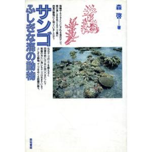 サンゴ ふしぎな海の動物／森啓(著者)