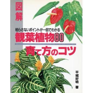 図解 観葉植物80育て方のコツ 枯らさないポイントが一目でわかる/平城好明【著】
