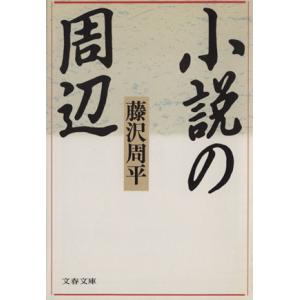 小説の周辺 文春文庫/藤沢周平【著】