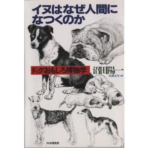 イヌはなぜ人間になつくのか ドッグおもしろ博物学／沼田陽一(著者)