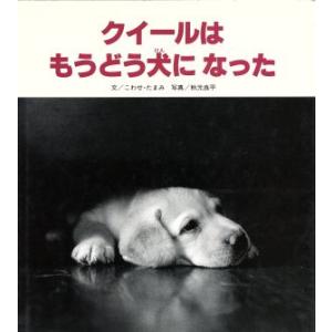 クイールはもうどう犬になった/こわせたまみ【文】,秋元良平【写真】