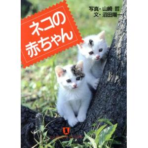 ネコの赤ちゃん ノン・ポシェットノン・ポシェット・ビジュアル/沼田陽一(著者),山崎哲