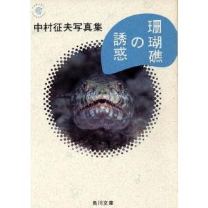 珊瑚礁の誘惑 中村征夫写真集 角川文庫/中村征夫【著】