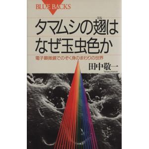 タマムシの翅の玉虫色の謎の高価買取価格