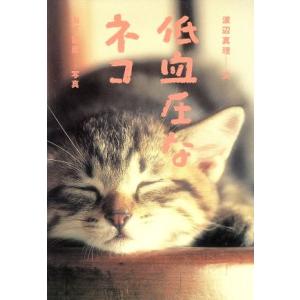 低血圧なネコ/渡辺真理(著者),山下寅彦