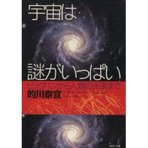 宇宙は謎がいっぱい ビッグバンから人類の未来まで PHP文庫/的川泰宣(著者)