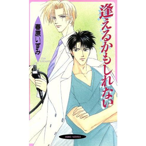 逢えるかもしれない ヴァリオノベルズ/春原いずみ(著者)