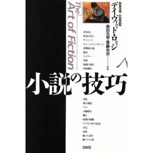 小説の技巧/デイヴィッド・ロッジ(著者),柴田元幸(訳者),斎藤兆史(訳者)