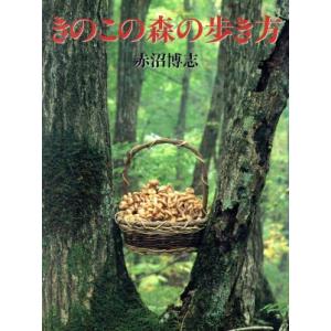 きのこの森の歩き方/赤沼博志(著者)　