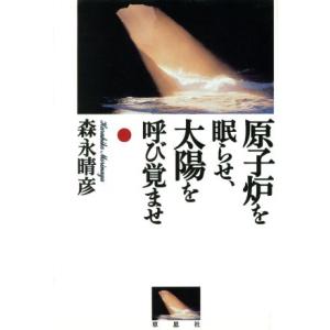 原子炉を眠らせ、太陽を呼び覚ませ/森永晴彦(著者)