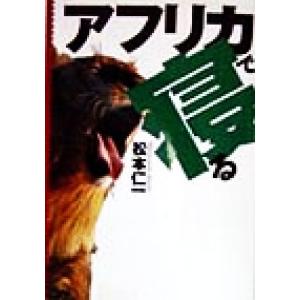 アフリカで寝る 朝日文庫/松本仁一(著者)