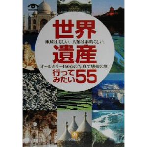 世界遺産行ってみたい55 地球は美しい。人類は素晴らしい。オールカラー160点の写真で感動の旅。 小...