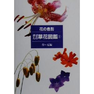 花の色別　道ばたの草花図鑑(１) 春〜夏編／杉村昇(著者)