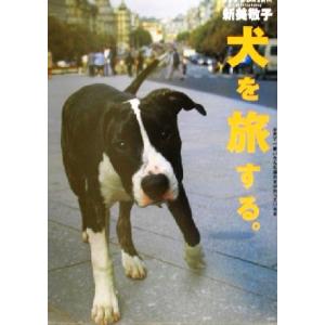 犬を旅する。 世界で一番いろんな国の犬がのっている本/新美敬子