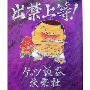 鉄緑会 高3 化学発展講座 上巻/下巻 理論/無機・有機化学篇/問題集