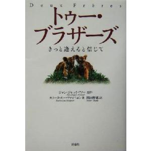 トゥー・ブラザーズ きっと逢えると信じて 児童図書館・文学の部屋/ジャン・ジャック・アノー(著者　