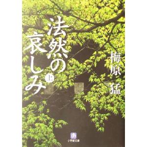 法然の哀しみ(上) 小学館文庫／梅原猛(著者)