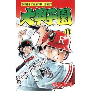 大甲子園（全17巻セット）[文庫版] : マンガ屋アニメ屋 Yahoo!店